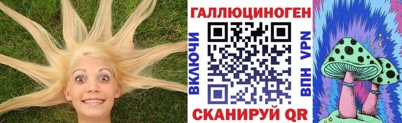 Купить  Гусев  Галлюциногенные грибы GOLDEN TEACHER 